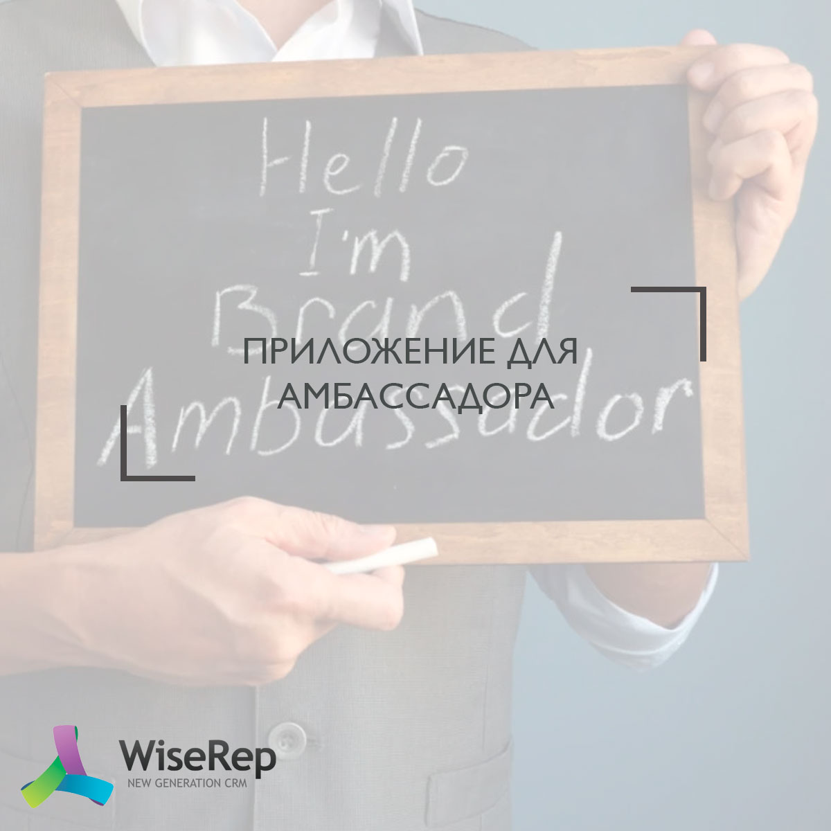 Приложение для амбассадора: что это и зачем?