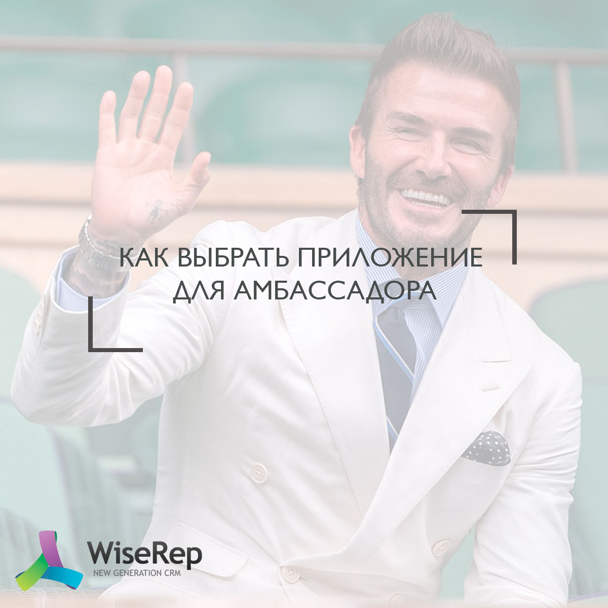 Как выбрать приложение для амбассадора